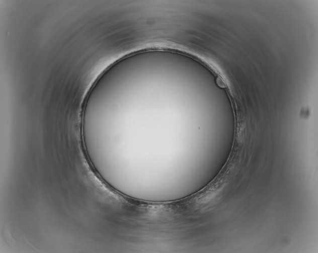 X0000089390903200706221315