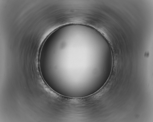 X0000089390904200706221315