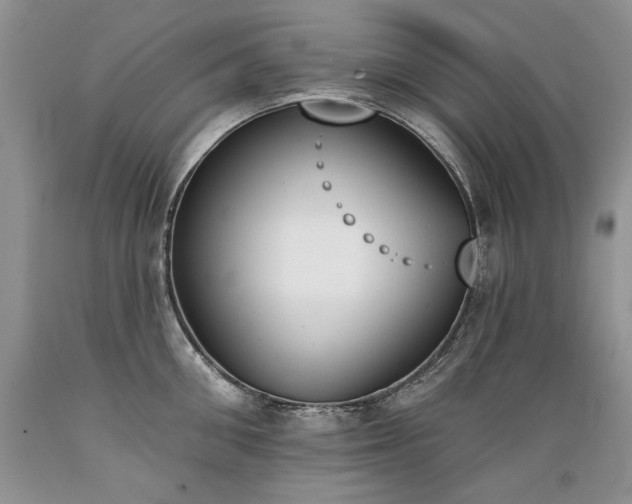 X0000089390906200706221315