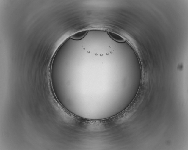 X0000089390907200706221315