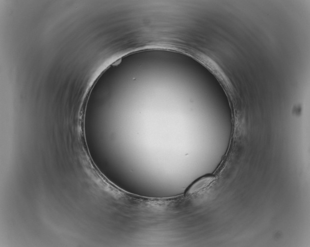 X0000089390908200706221315