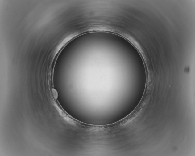 X0000089390909200706221315