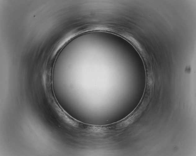 X0000089390910200706221315