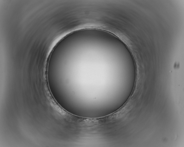 X0000089390912200706221315