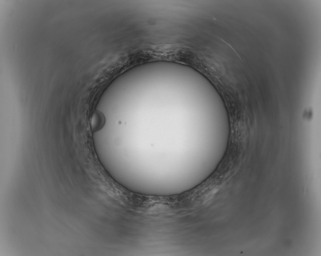 X0000089390913200706221314
