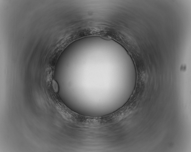 X0000089390914200706221314