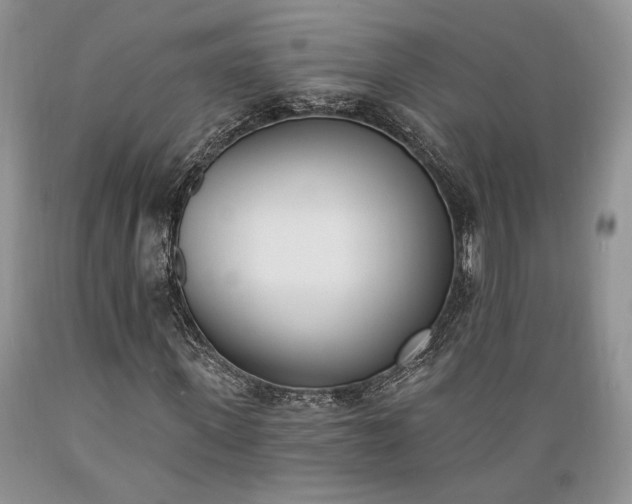 X0000089390915200706221314