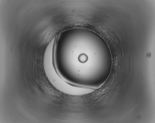 X0000089390916200706221314