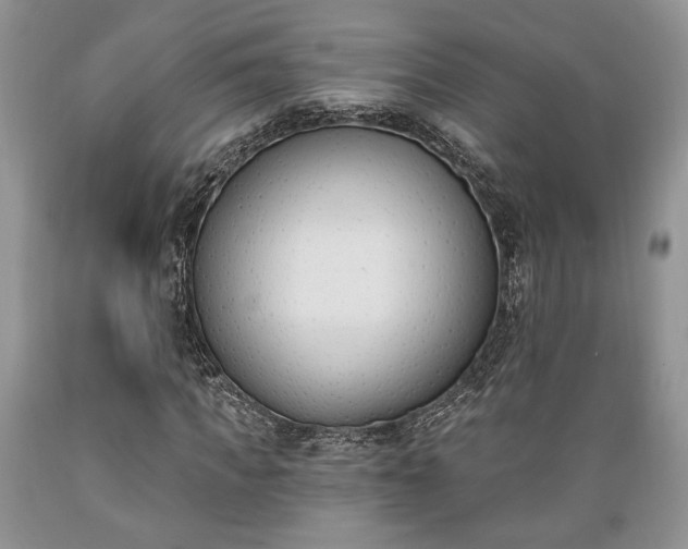X0000089390917200706221314