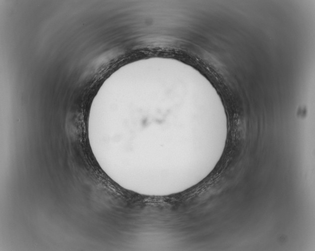 X0000089390918200706221314
