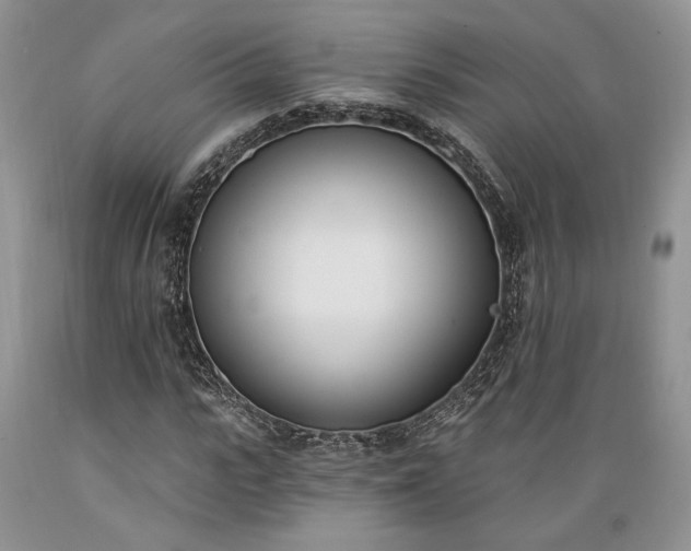 X0000089390919200706221314