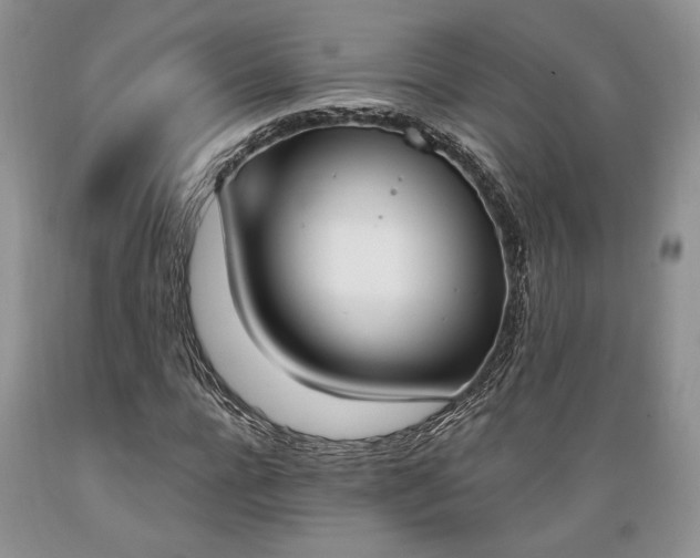 X0000089390920200706221314