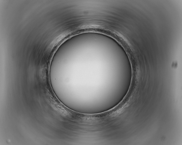 X0000089390921200706221314