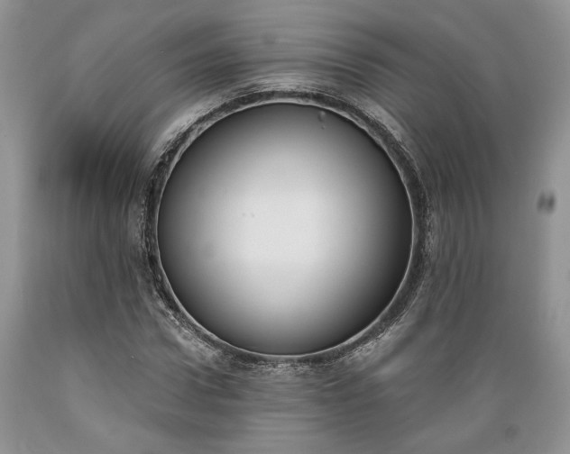 X0000089390922200706221314