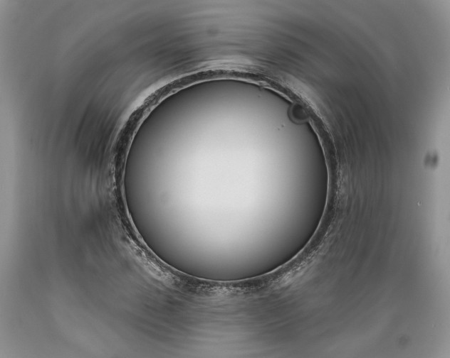 X0000089390923200706221314