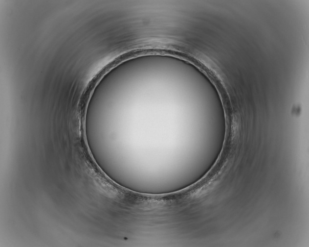 X0000089390925200706221314