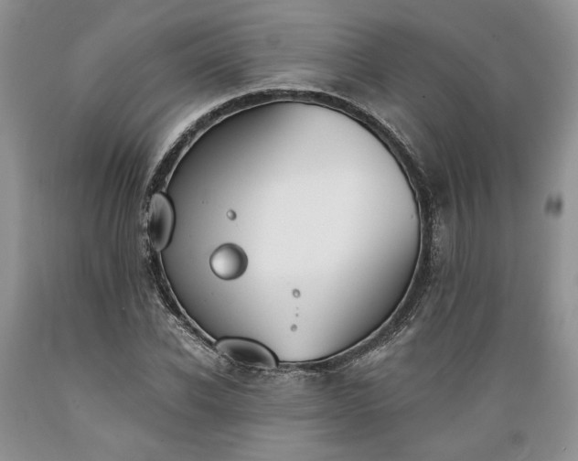X0000089390926200706221314