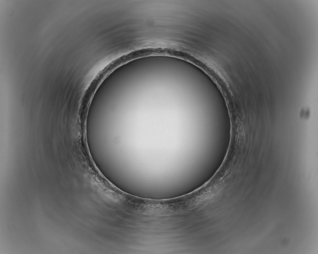 X0000089390927200706221314