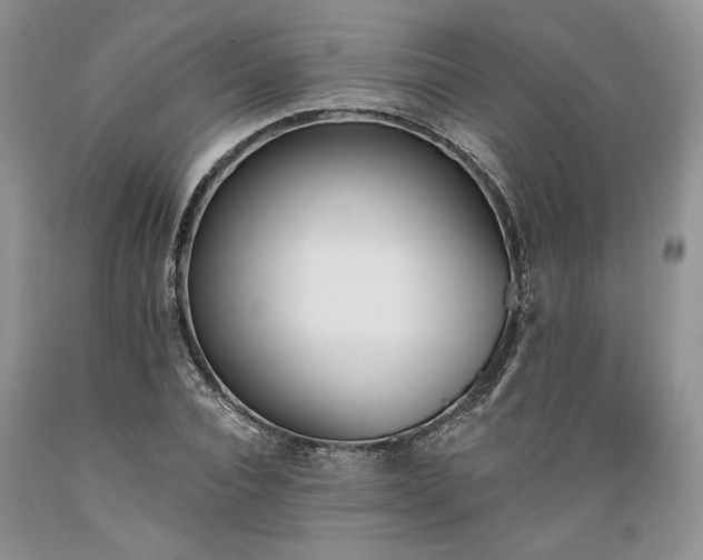 X0000089390928200706221314