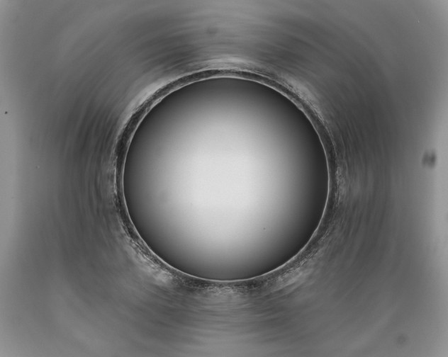 X0000089390931200706221314