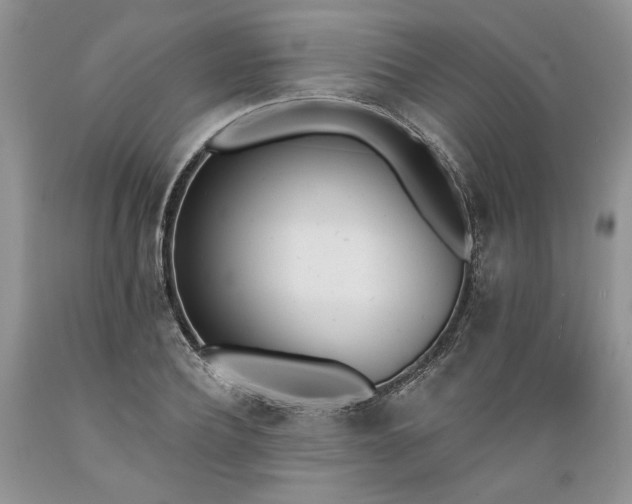X0000089390932200706221314