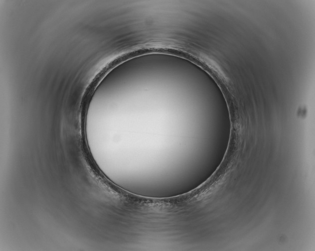 X0000089390934200706221314