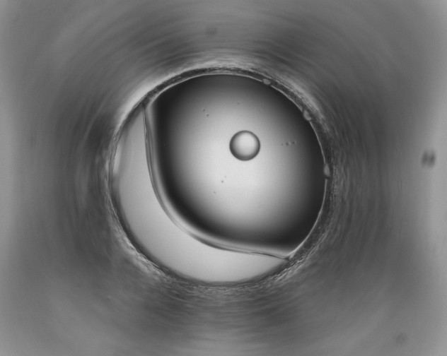 X0000089390936200706221314