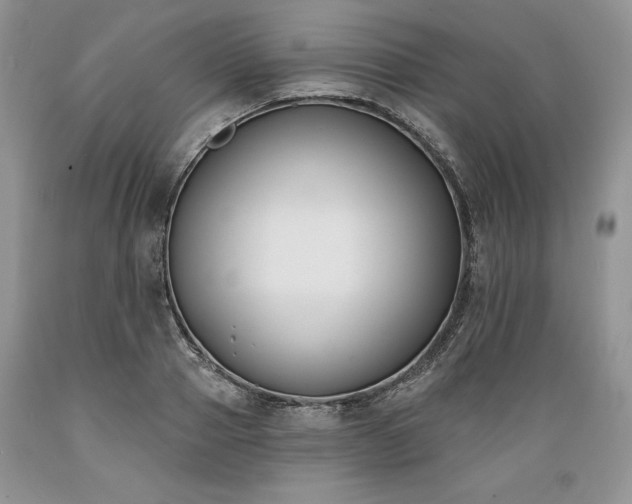 X0000089390937200706221315