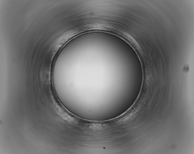 X0000089390938200706221315