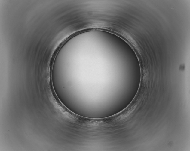 X0000089390939200706221315
