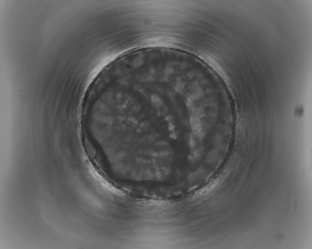 X0000089390941200706221315
