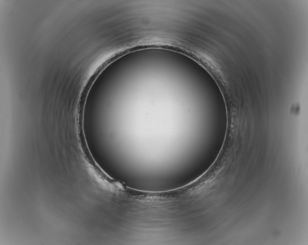 X0000089390942200706221315