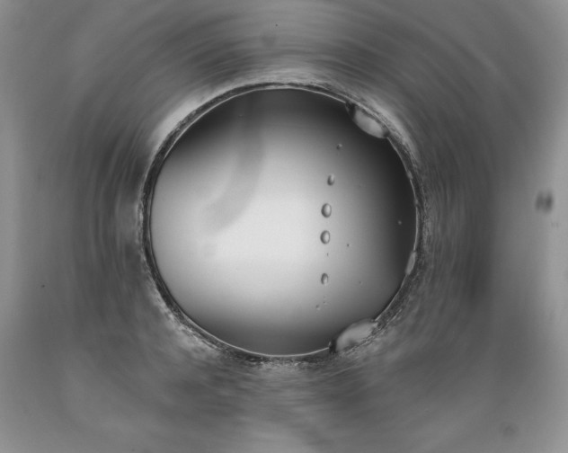 X0000089390944200706221315