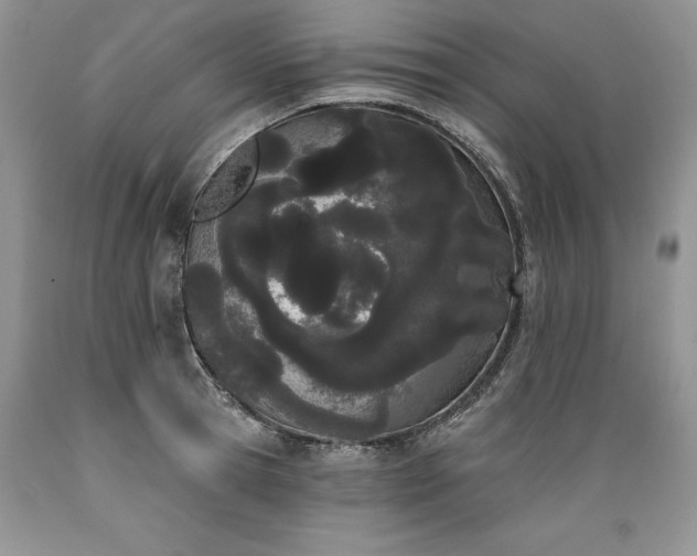 X0000089390945200706221315