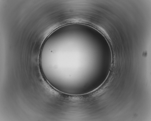 X0000089390946200706221315