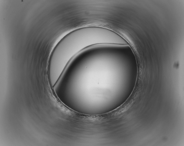 X0000089390948200706221315