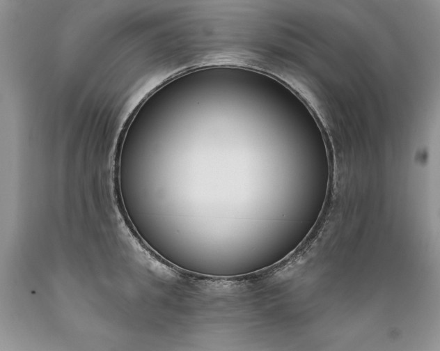 X0000089390949200706221315