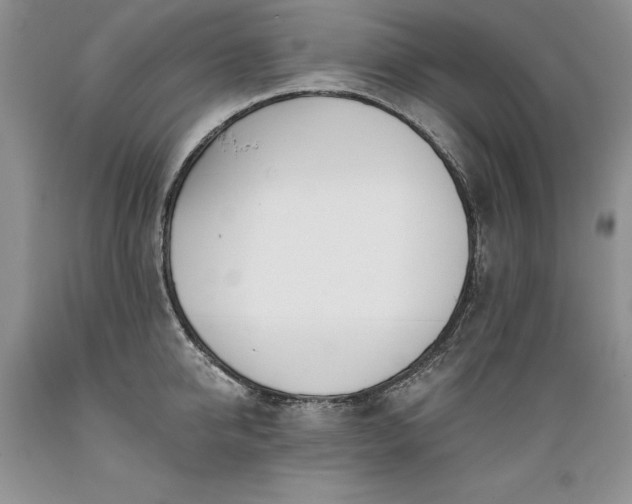 X0000089390950200706221315