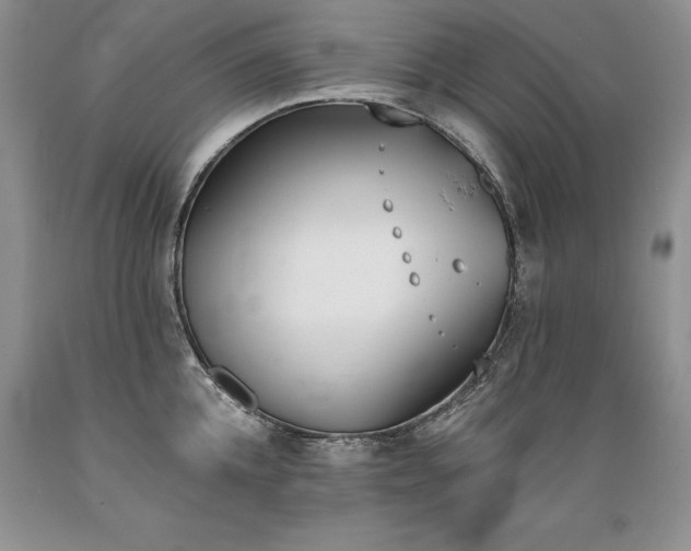 X0000089390952200706221315