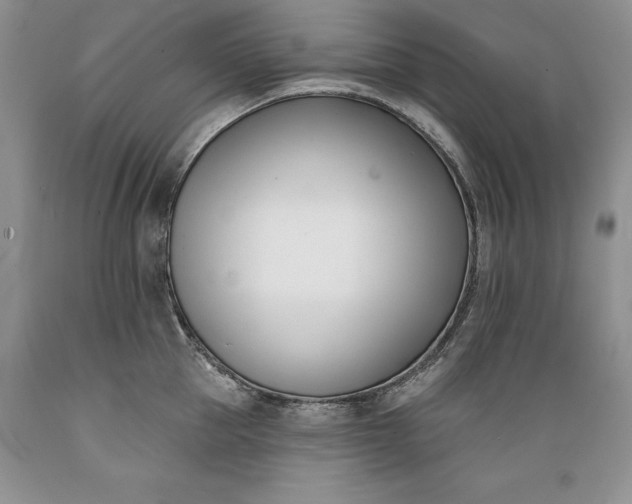 X0000089390953200706221315
