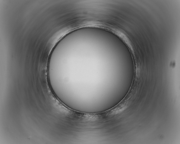 X0000089390954200706221315