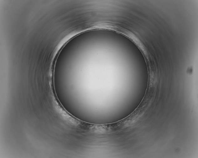 X0000089390955200706221315