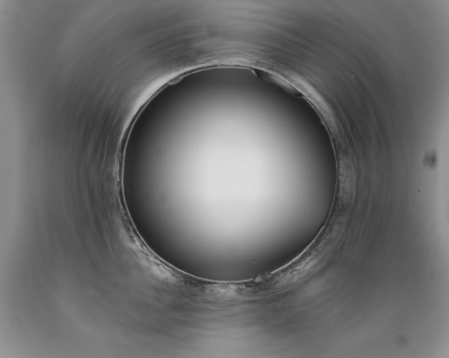 X0000089390956200706221315