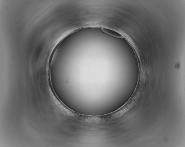 X0000089390957200706221315