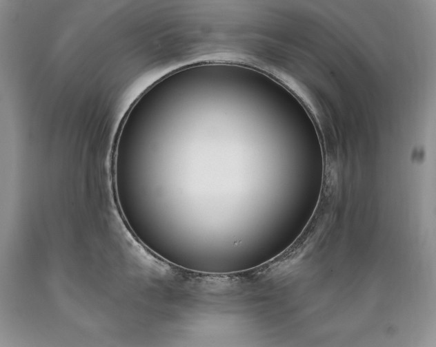 X0000089390959200706221315
