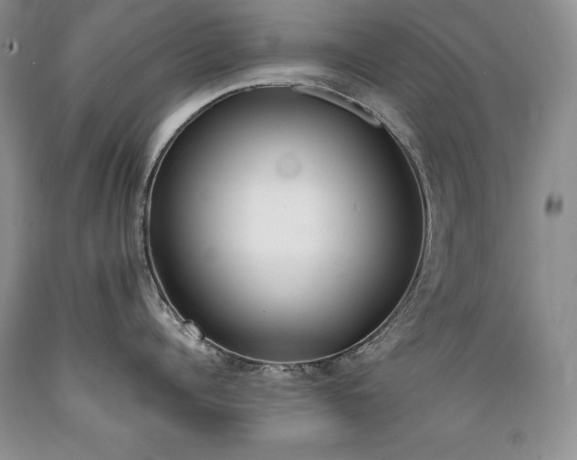 X0000089390960200706221315