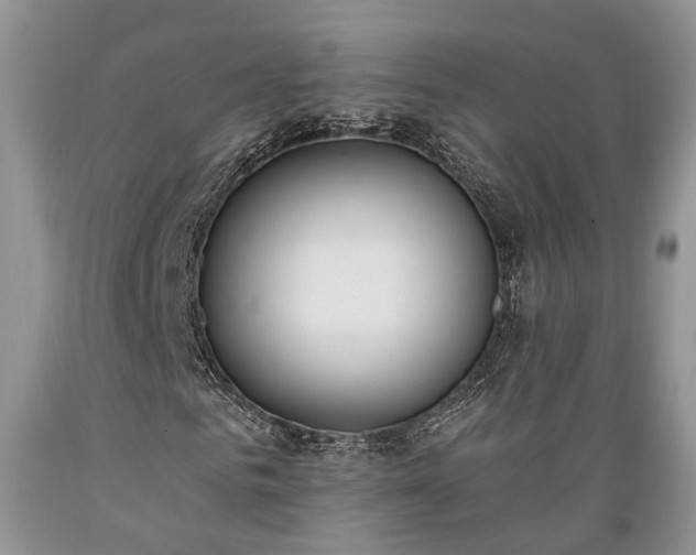 X0000089390961200706221314