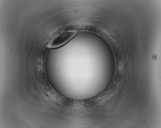 X0000089390964200706221314