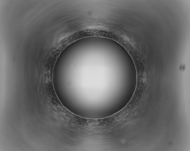 X0000089390965200706221314