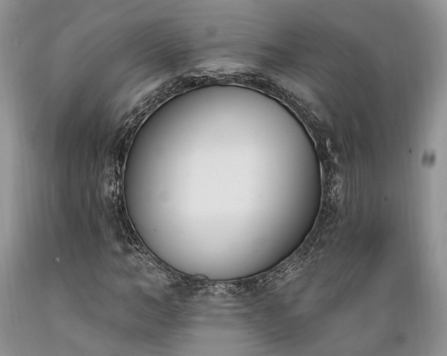 X0000089390966200706221314